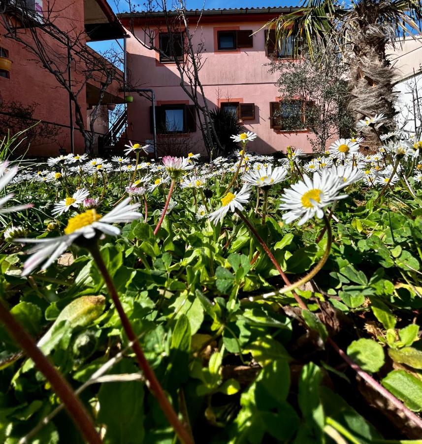 Elentoni Apartment Fazana Exterior photo